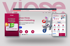 1-VICSE